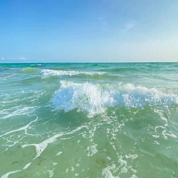 About the seller: - Picture 3 of 15